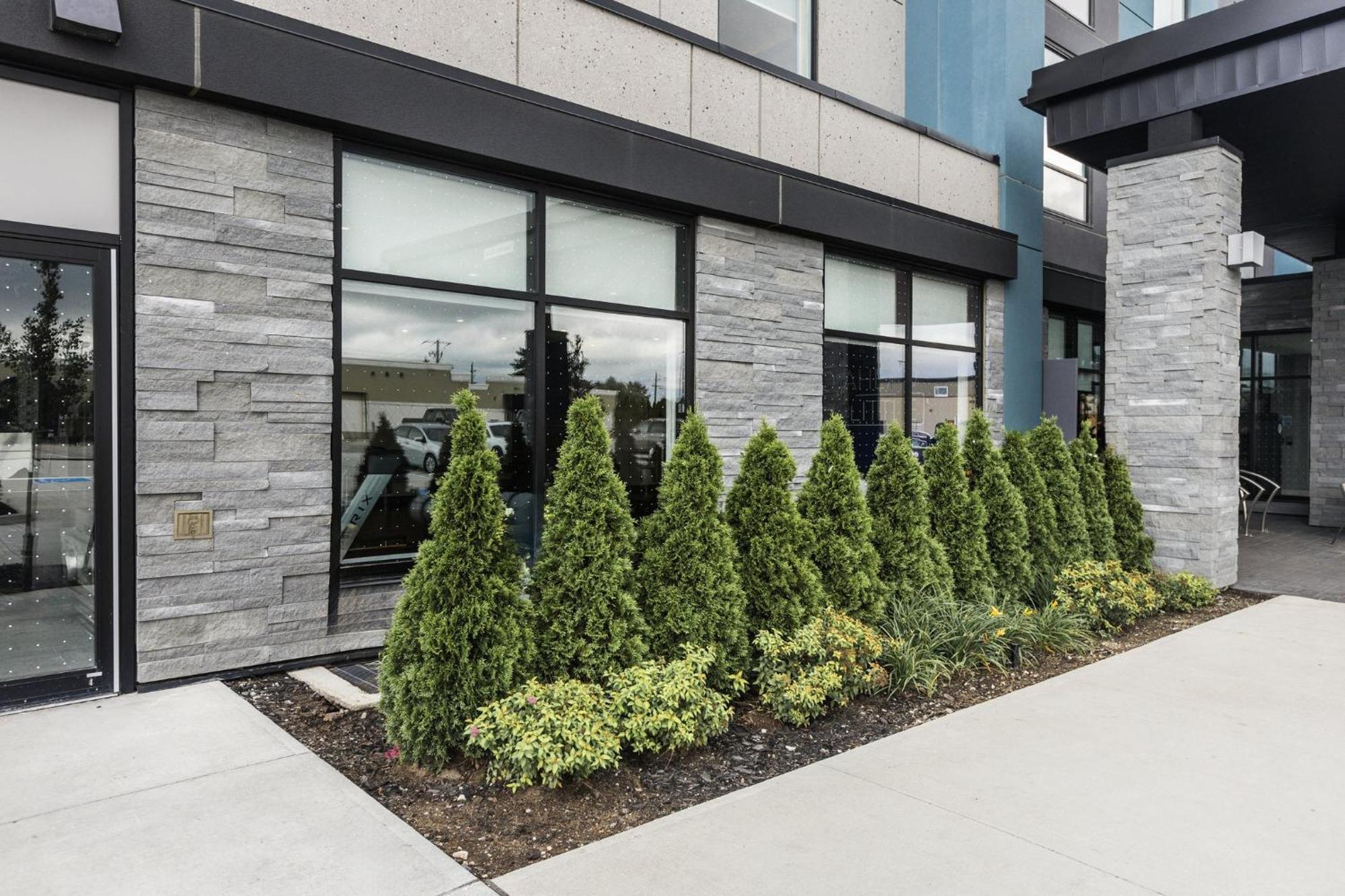 Holiday Inn Express & Suites - Toronto Airport South By Ihg Exteriér fotografie
